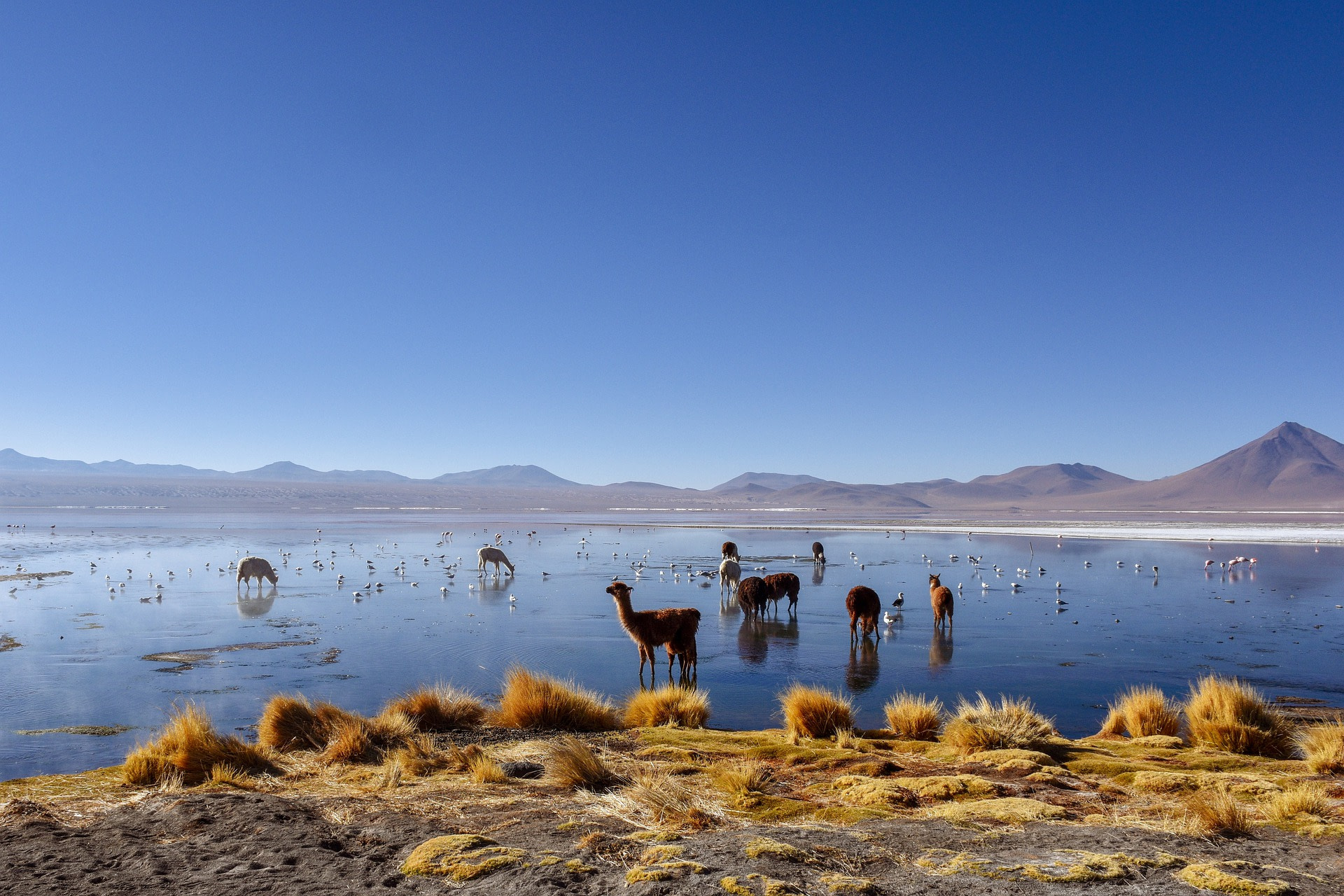 uyuni-5761762_1920