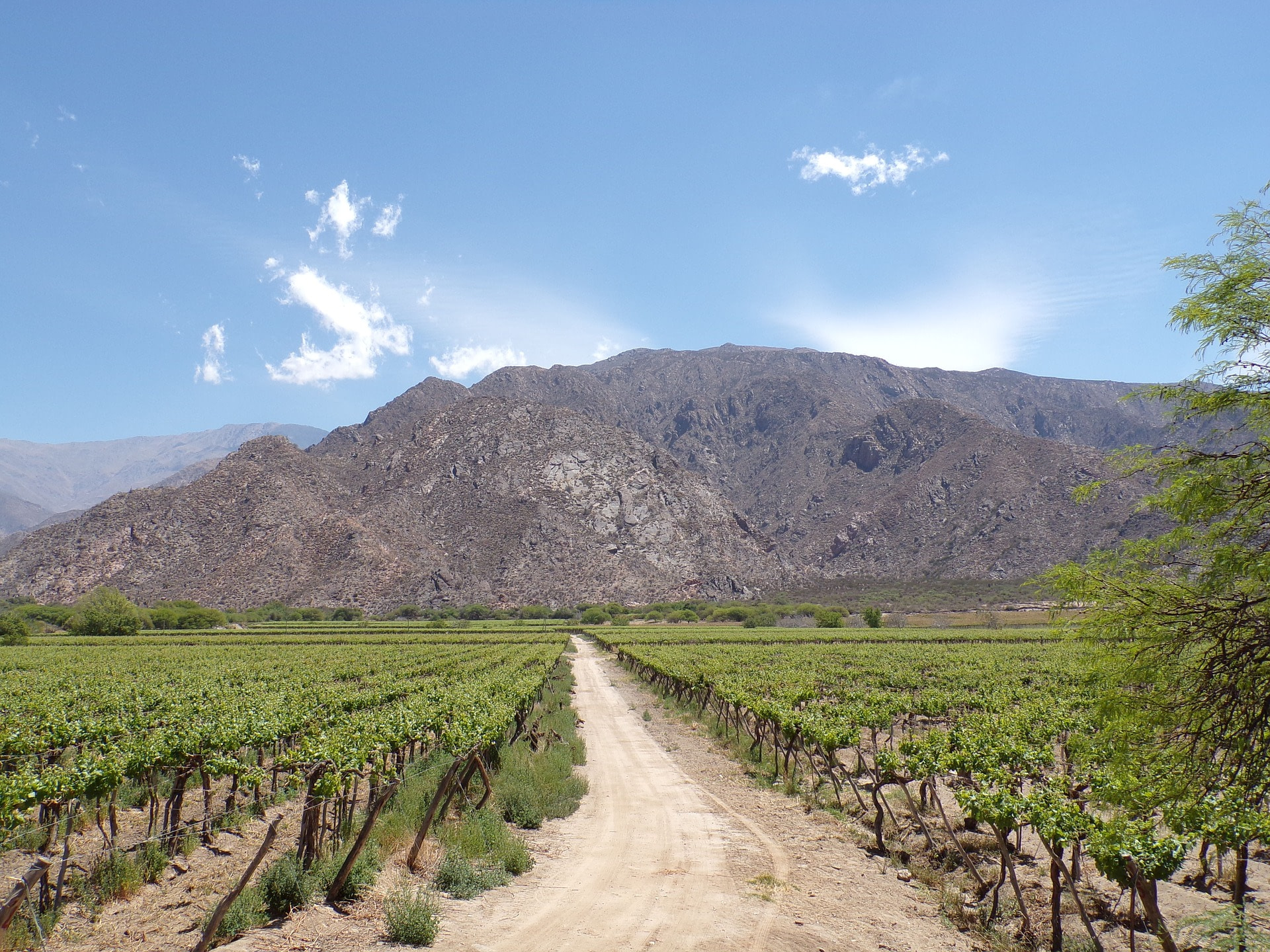 cafayate-2633150_1920