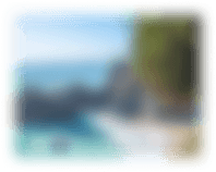 tree ashore_3
