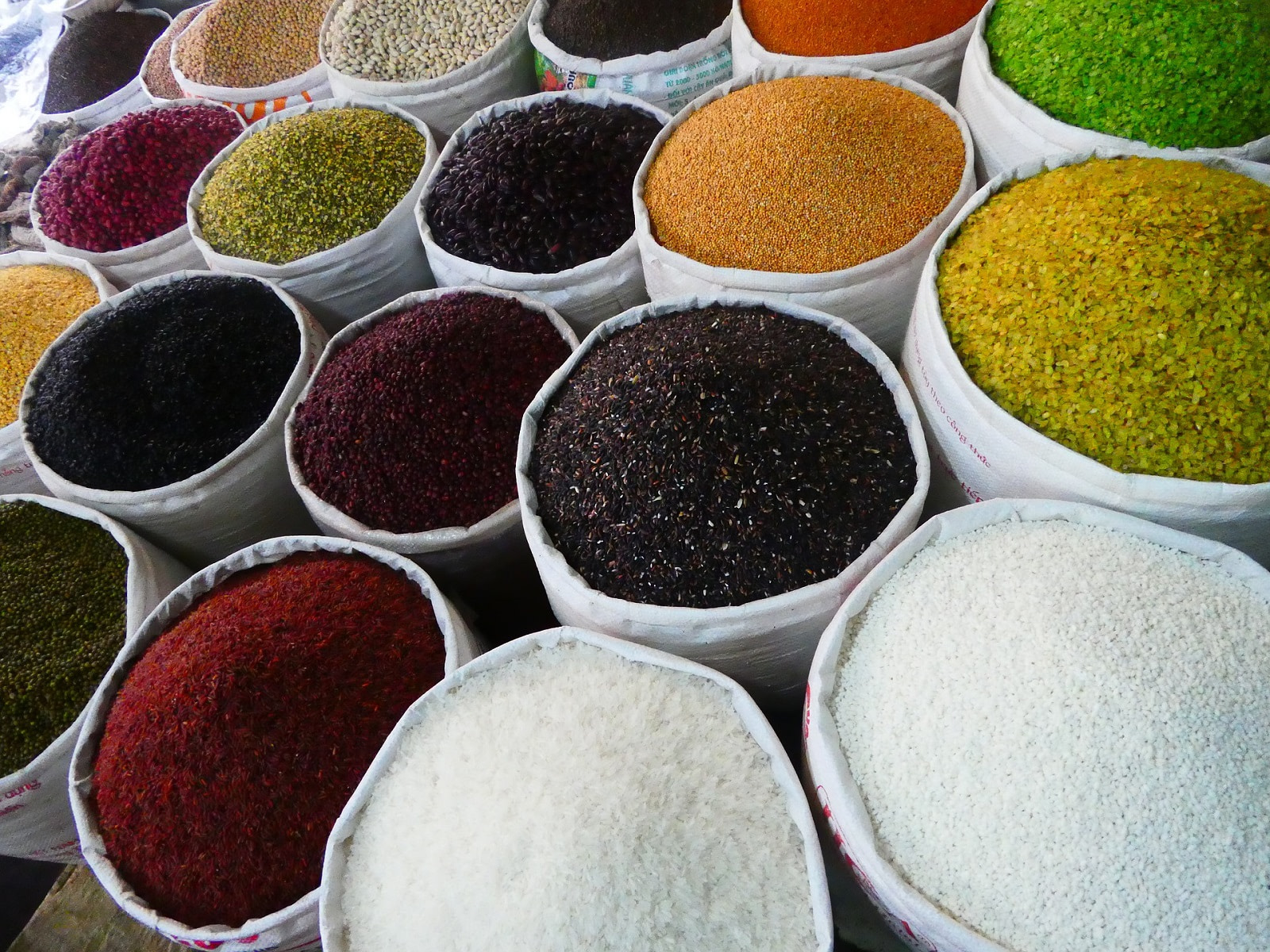 basar especies istanbul